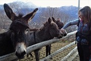 Anello del MONTE SAN MARTINO, sentinella della città di Lecco, l’11 gennaio 2020- FOTOGALLERY